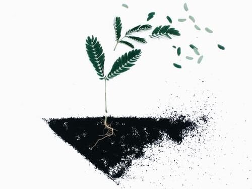 언제나 통하지 않는 성장 마인드셋(Growth Mindset)
