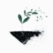 언제나 통하지 않는 성장 마인드셋(Growth Mindset)