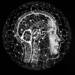 당신의 지능을 높일 수 있는 가장 확실한 방법