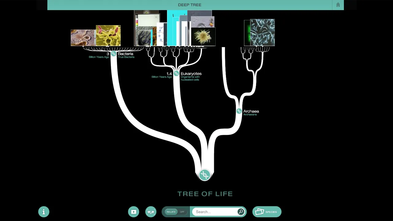 Evolution Lab Pointer Asset Poster Image XVRAMe4 1